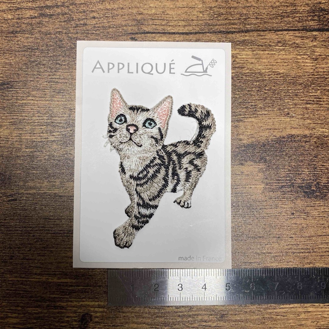 H.P.FRANCE(アッシュペーフランス)の【BonMarche100人展購入★フランス製】ねこ刺繍アップリケ　ハンドメイド ハンドメイドの素材/材料(各種パーツ)の商品写真