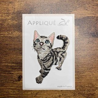 アッシュペーフランス(H.P.FRANCE)の【BonMarche100人展購入★フランス製】ねこ刺繍アップリケ　ハンドメイド(各種パーツ)