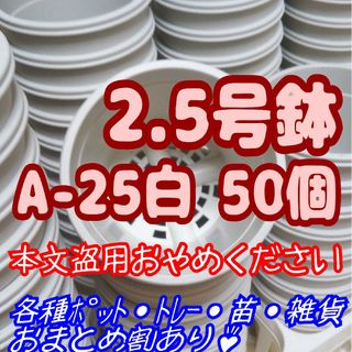 プラ鉢【A-25】50個 スリット鉢 丸 プレステラ 多肉植物(プランター)