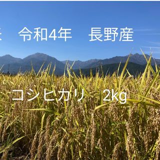 令和4年北信州産コシヒカリ　梱包込み2kg　ゆうパケットポスト(米/穀物)