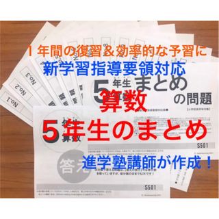 算数　５年生のまとめ(語学/参考書)