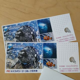 新江ノ島水族館　ご招待券　2枚　2024年3月31日迄(水族館)