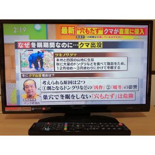 オリオン(Orion)のORION 液晶テレビ RN-19DG10(テレビ)