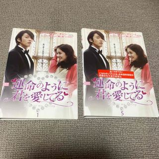 運命のように君を愛してる 全話 10巻 DVD(TVドラマ)