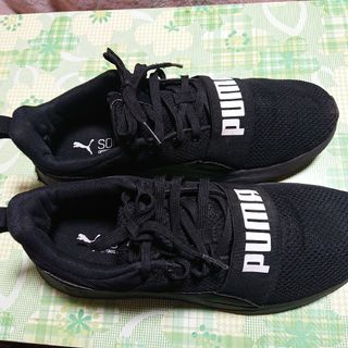 プーマ(PUMA)のPUMA  スニーカー26.5cm(スニーカー)