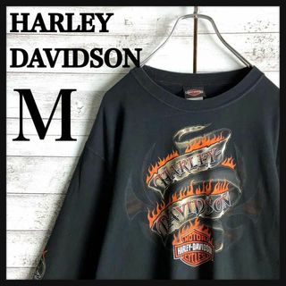 ハーレーダビッドソン(Harley Davidson)の8583【袖ファイヤーパターン】ハーレーダビッドソン☆定番カラーロングtシャツ(Tシャツ/カットソー(七分/長袖))