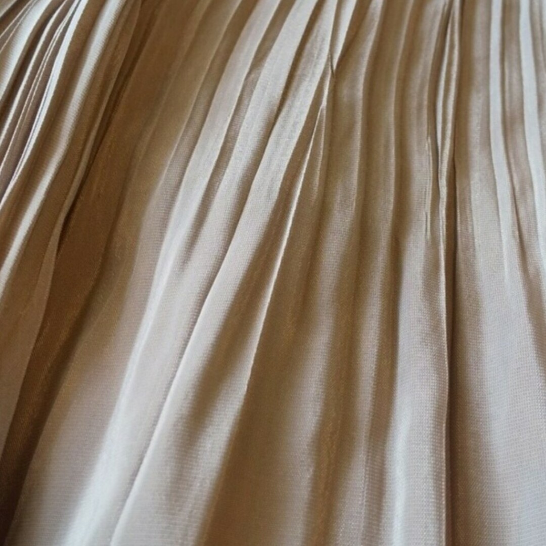 DIARIUM  ロングスカート レディースのスカート(ロングスカート)の商品写真