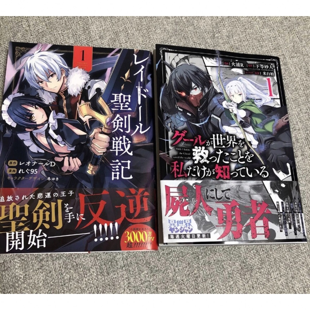 グールが世界を救ったことを私だけが知っている　レイドール聖剣戦記　1巻　漫画 エンタメ/ホビーの漫画(青年漫画)の商品写真