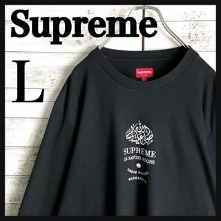 シュプリーム(Supreme)の8634【人気Lサイズ】シュプリーム☆刺繍ビッグロゴロングtシャツ　美品(Tシャツ/カットソー(七分/長袖))