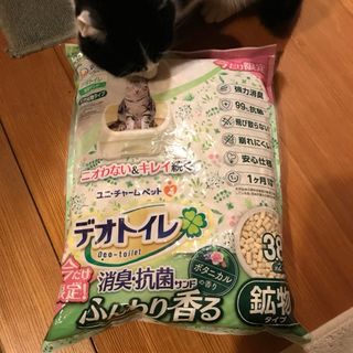 ユニチャーム(Unicharm)の【限定品】 デオトイレ 消臭・抗菌サンド ボタニカルの香り3.８Ｌ(猫)