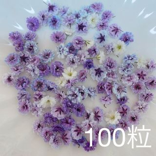 パープル系 かすみ草ドライフラワー100粒(ドライフラワー)