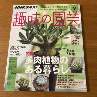 NHK 趣味の園芸 2019年 09月号(その他)