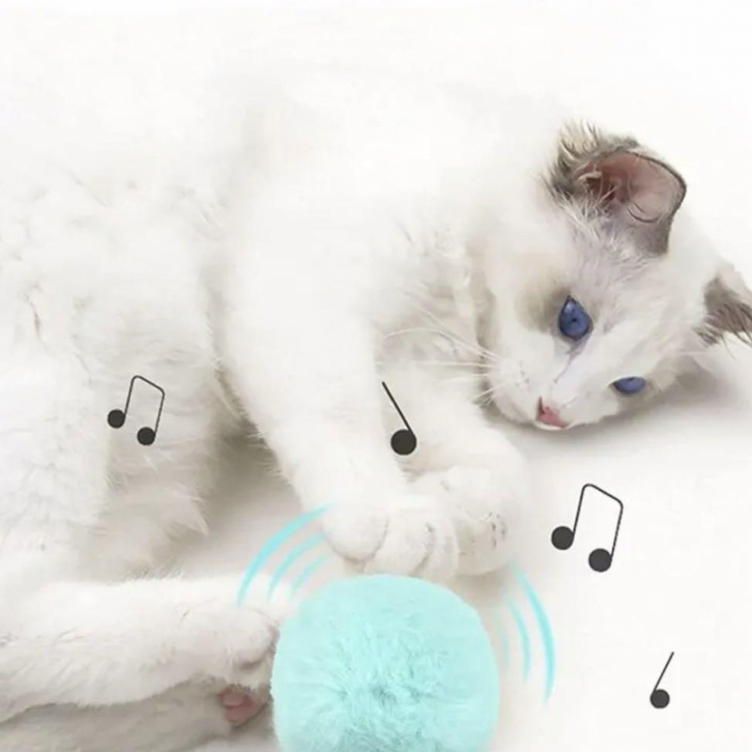 猫 おもちゃ 玩具 ねこじゃらし  カエル 声 音 水色 ハンドメイドのペット(おもちゃ/ペット小物)の商品写真