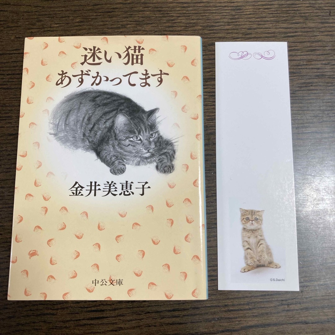 迷い猫あずかってます エンタメ/ホビーの本(文学/小説)の商品写真