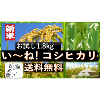 【.R5年産】★新米★お試し　★広島げんき米い～ね！★コシヒカリ1.8kg(米/穀物)