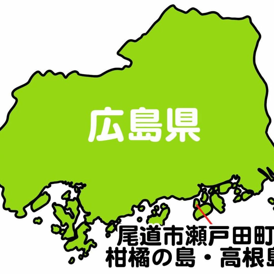 【広島県高根島産】デコポン3キロ〜　ご家庭用　訳あり品　3月初旬で終了 食品/飲料/酒の食品(フルーツ)の商品写真