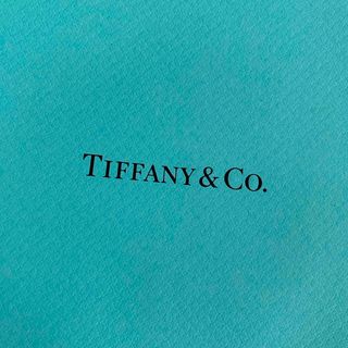 ティファニー(Tiffany & Co.)のティファニー紙袋 2枚セット(ショップ袋)