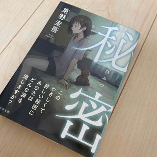 秘密(文学/小説)