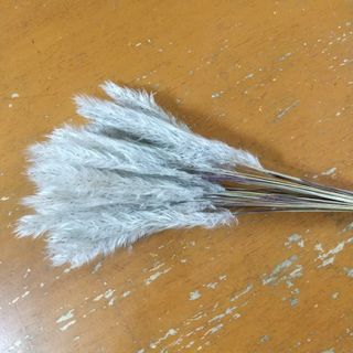 ふわふわチガヤドライフラワー50本ハンドメイド花材(ドライフラワー)