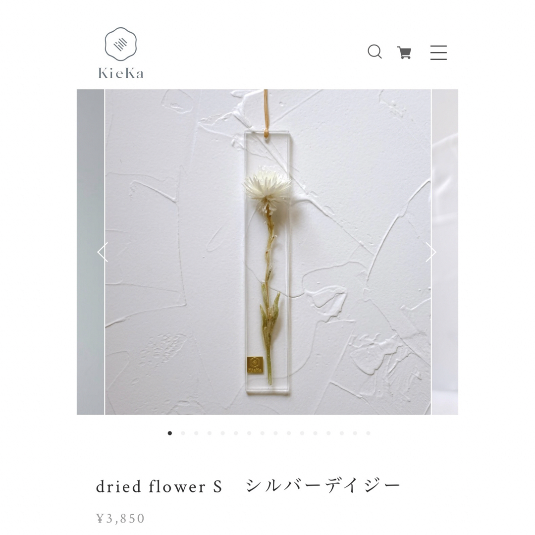 KieKa  dried flower S シルバーデイジー　ラベンダー 2点 ハンドメイドのフラワー/ガーデン(ドライフラワー)の商品写真