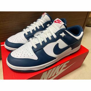 ナイキ(NIKE)の【ほぼ未使用】Nike dunk low Valerian Blue 29.0(スニーカー)