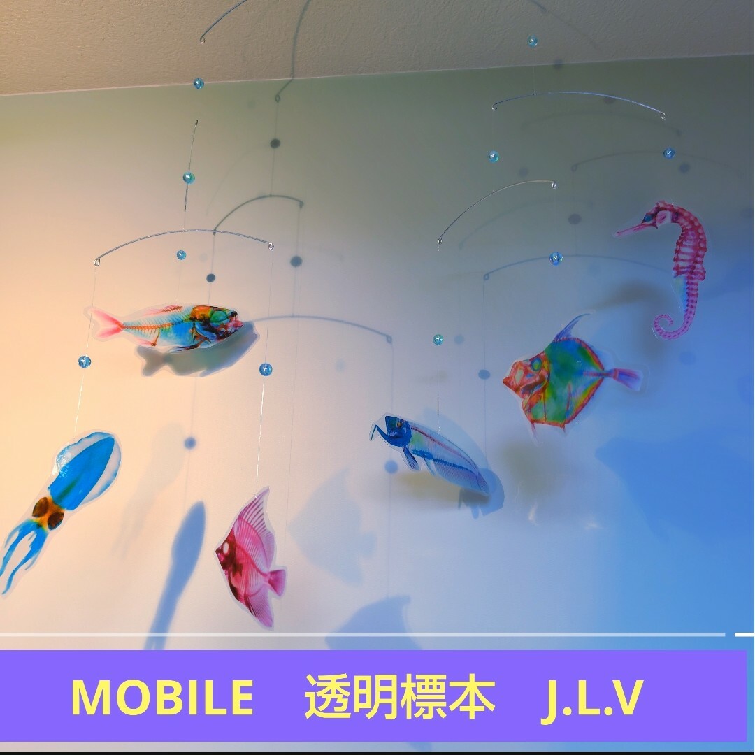 半透明 クリアアート タツノオトシゴ モビール 魚  透明標本 インテリア/住まい/日用品のインテリア小物(モビール)の商品写真