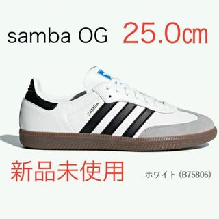 アディダス(adidas)の【新品未使用】アディダス サンバ OG 25.0㎝  adidas  samba(スニーカー)