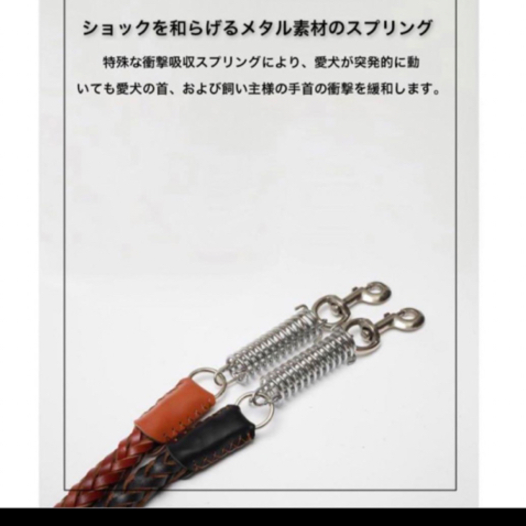 大型犬〜超大型犬用　スプリング付き本革リードと首輪の2点セット その他のペット用品(犬)の商品写真