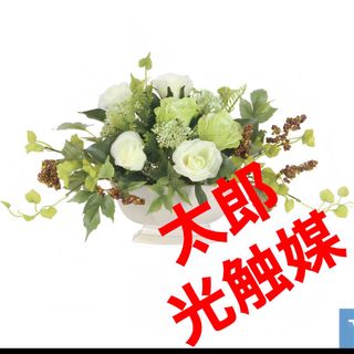 光の楽園　光触媒　人工観葉植物　ウォールグリーン　フェイクグリーン　パールベリー(置物)