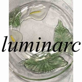 未使用　大皿　luminarc  フランス製　楕円形皿  絵柄細工　リュミナルク(食器)