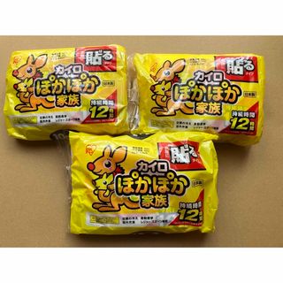 ぽかぽか家族　 貼る カイロ　レギュラー　30個入り(その他)