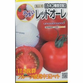 未開封＜野菜の種＞中玉トマト　レッドオーレ　20粒　フルーツトマト(プランター)