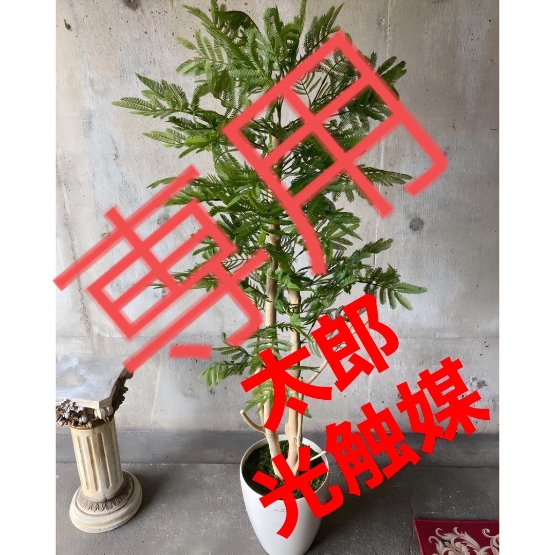 光触媒 人工観葉植物 ウォールグリーン フェイクグリーン