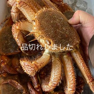 活毛がに　約400㌘　無くなり次第終了(魚介)