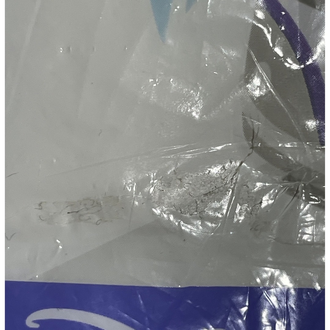 Disney(ディズニー)のショップ袋(東京ディズニーランド） レディースのバッグ(ショップ袋)の商品写真