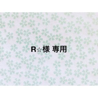 【R⭐︎様 専用】給食セット＊2(外出用品)