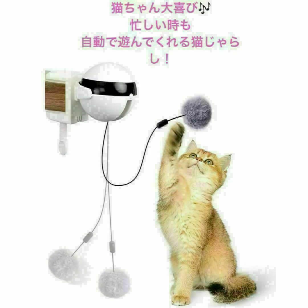 猫 おもちゃ 猫じゃらし 電動 ペット用品 一人遊び ストレス解消運動不足対策 その他のペット用品(猫)の商品写真