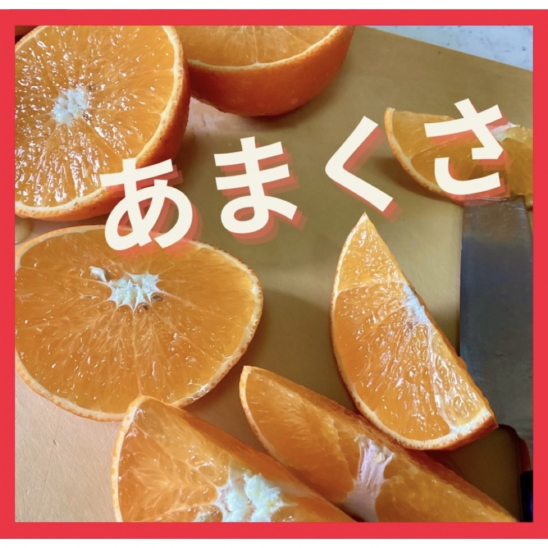糸島　農家直送　キズ天草5キロ 食品/飲料/酒の食品(フルーツ)の商品写真
