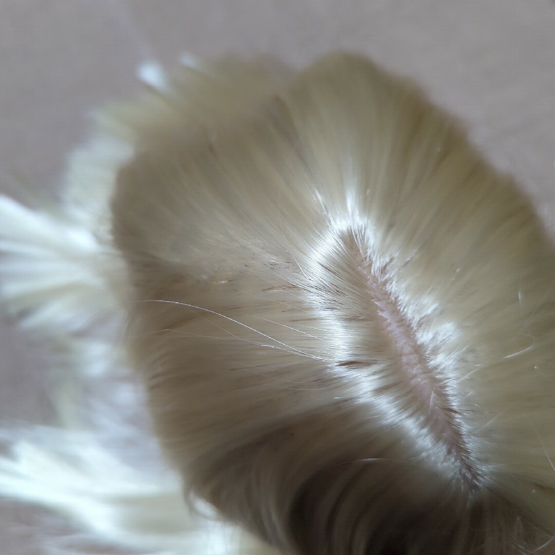 匿名配送　金髪 ショート フルウィッグ ブロンド コスプレ ウィッグ セミロング レディースのウィッグ/エクステ(ショートストレート)の商品写真