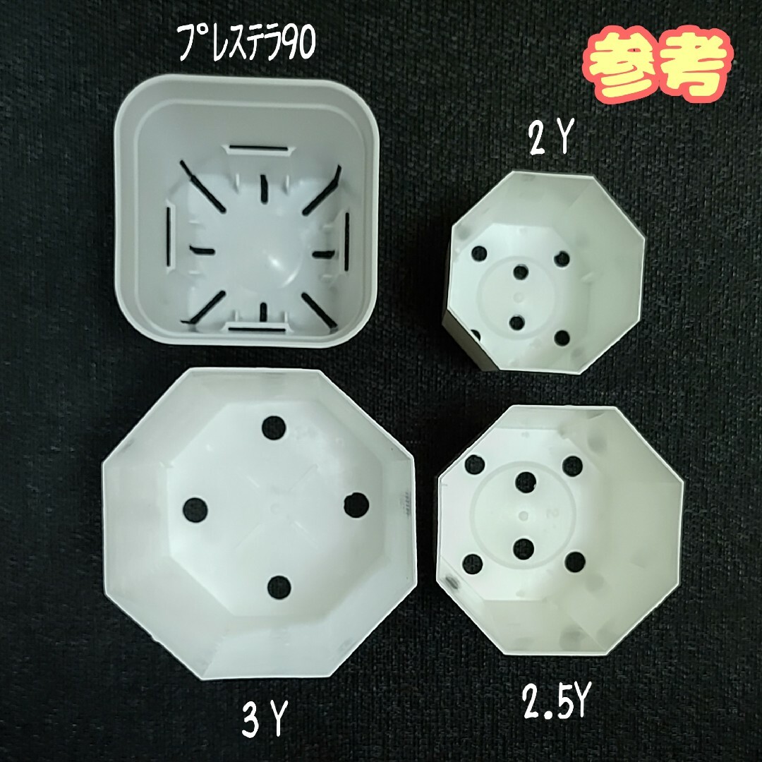 プラ鉢《2Y・2.5Y・3Y》カネヤ 八角鉢 白各5個プラ鉢スリット鉢プレステラ ハンドメイドのフラワー/ガーデン(プランター)の商品写真