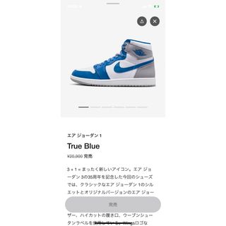 ジョーダン(Jordan Brand（NIKE）)のNike Air Jordan 1 High OG "True Blue(スニーカー)