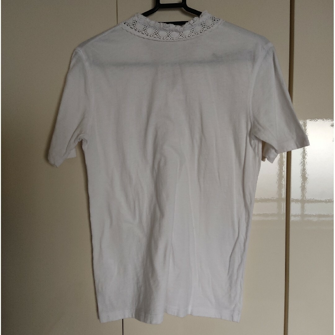 レディース　Ｔシャツ　М　綿レース レディースのトップス(Tシャツ(半袖/袖なし))の商品写真