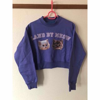 MILKBOY - land by milkboy 猫 ネコ キャット クロップ MILKBOY - land by milkboy 猫 ネコ キャット クロップ