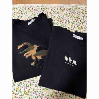 ザショップティーケー(THE SHOP TK)のTHE SHOP TK 恐竜ダイナソートレーナー　160cm(Tシャツ/カットソー)