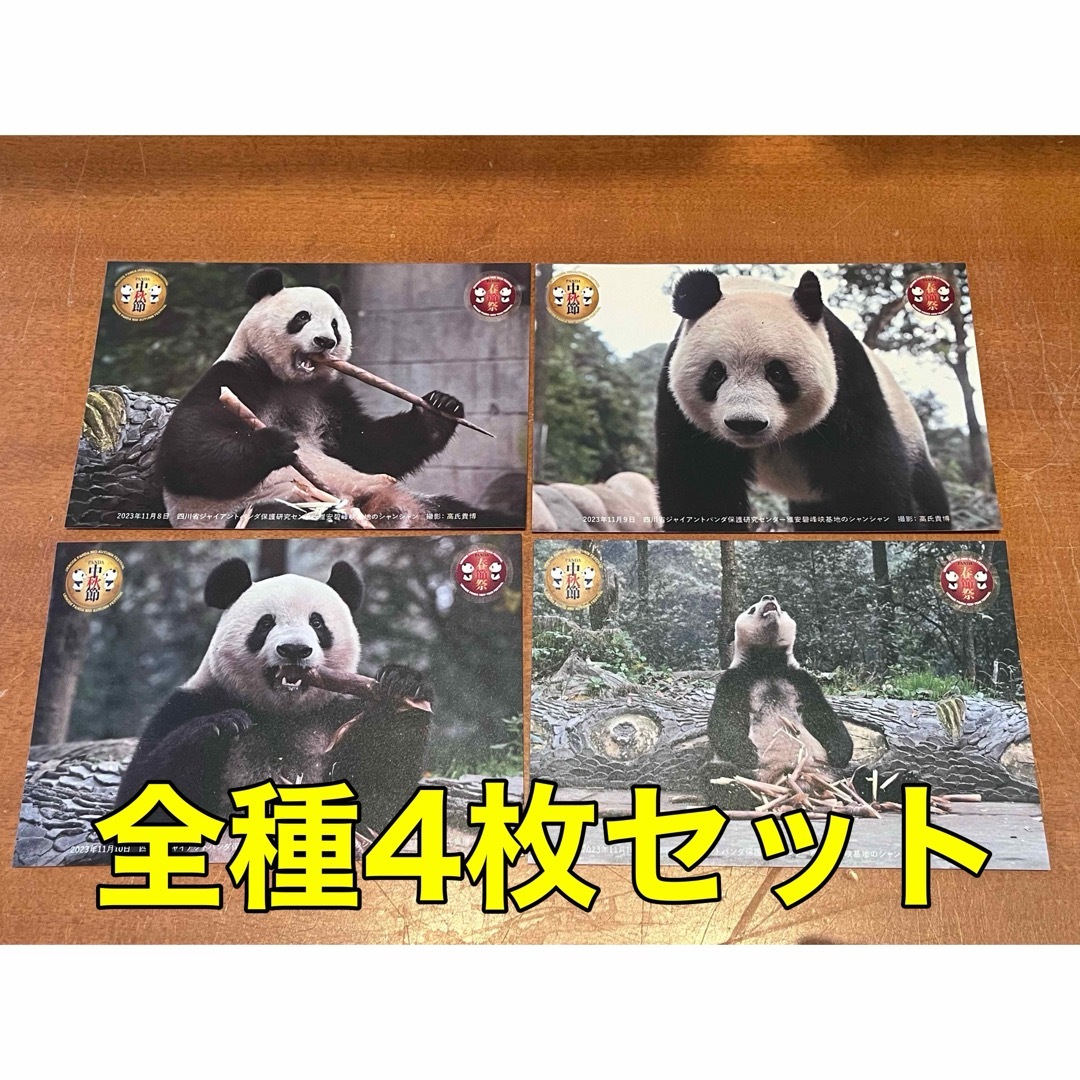 4枚セット【限定ポストカード】シャンシャン 上野動物園 全種 春節祭