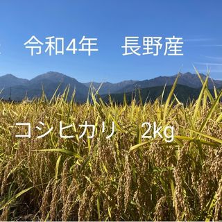 令和4年北信州産コシヒカリ　梱包込み2kg　ゆうパケットポスト(米/穀物)