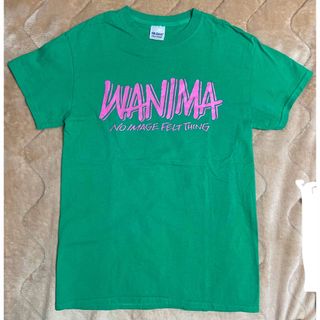 ワニマ(WANIMA)のWANIMA Tシャツ S 緑 ピンク ロゴ(ミュージシャン)