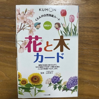 KUMON - KUMON くもん　花と木カード
