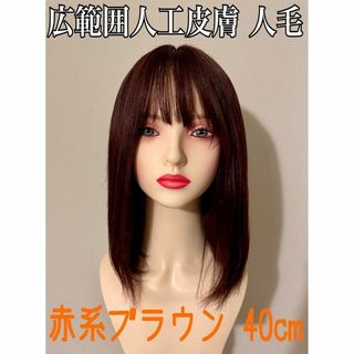 ❤ 高品質 全人毛100% 広範囲人工皮膚 ストレート 赤系茶色　４０ｃｍ ❤(ロングストレート)