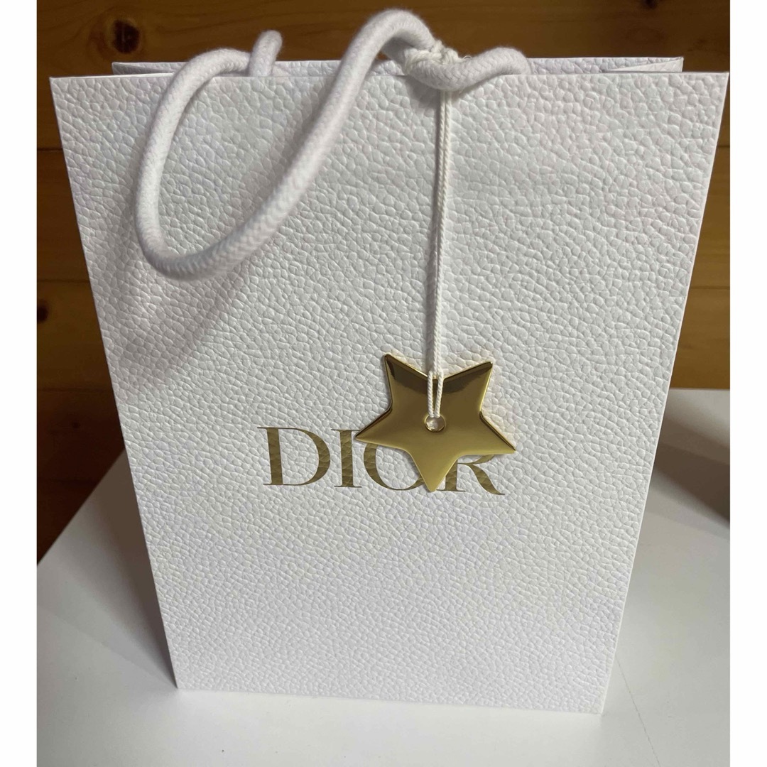 Dior(ディオール)のブランドショップ袋　dior レディースのバッグ(ショップ袋)の商品写真